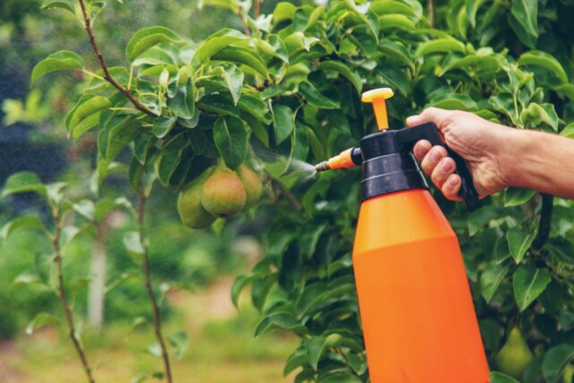 proibição pesticidas jardim